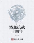 浴血抗战十四年的经典瞬间在线观看