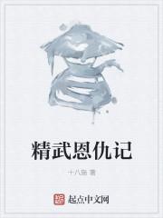 精武恩仇录txt