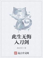 此生无悔入刺客