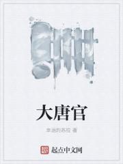 大唐官府溅射符石组合