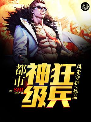 都市神极狂兵叶枫