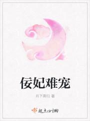 清宫佞妃免费阅读