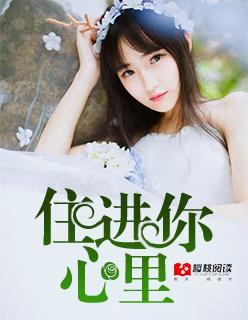 住进你的心里抖音歌词
