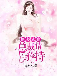 撩妻总裁宠上瘾全文