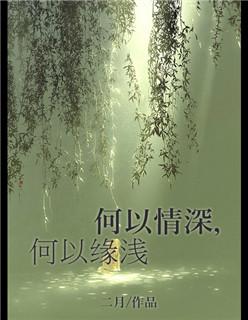 何以情深歌词