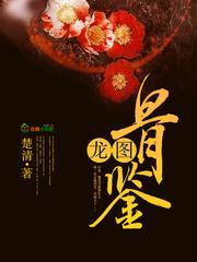 龙图骨鉴讲的什么