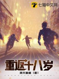 重返十八岁美国