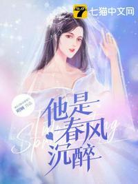 他是春风沉醉讲什么故事