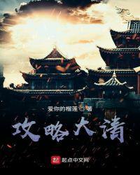 清朝攻略(清穿)