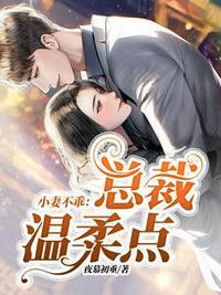 小妻不乖 总裁温柔点苏暖暖厉衍琛 夜幕初垂