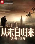 从末日归来的哈利波特