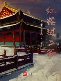 重生红楼琏二爷