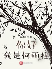 你好我是何雨柱田二郎