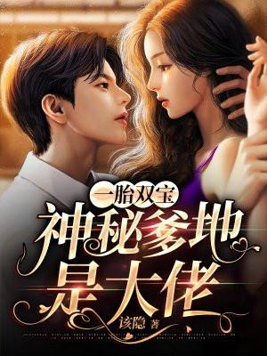 一胎双宝神秘老公请签收