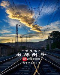 类似重生之国际倒爷的
