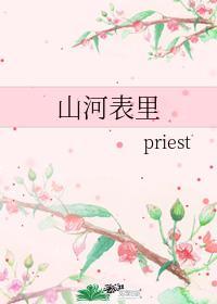 山河表里pries