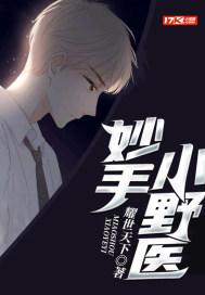 妙手小村医了然全本