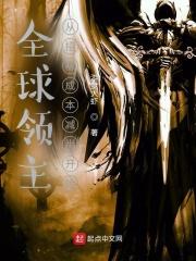 全球领主时代