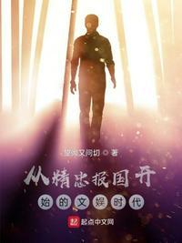 从精忠报国开始的文娱时代 免费