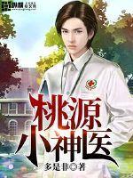 桃源小神医大结局