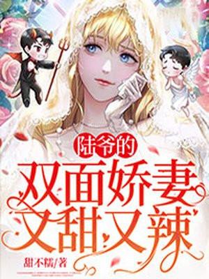 陆爷的娇妻又甜又曝