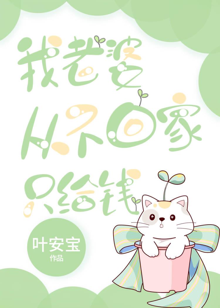 我老婆从不回家只给钱 叶安宝 免费