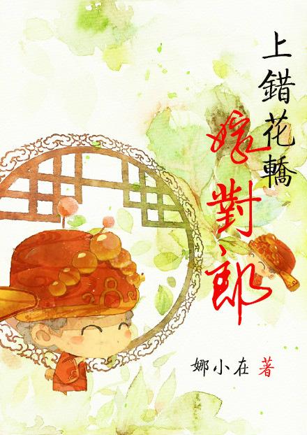 上错花轿嫁对郎李琳