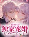 独家宠婚 盛夏采薇