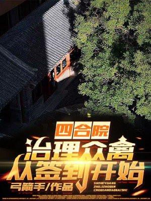 四合院治理众禽从签到开始shumige
