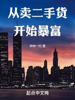 从卖二手货开始暴富笔趣免费