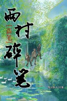 盗笔雨村碎笔阅读