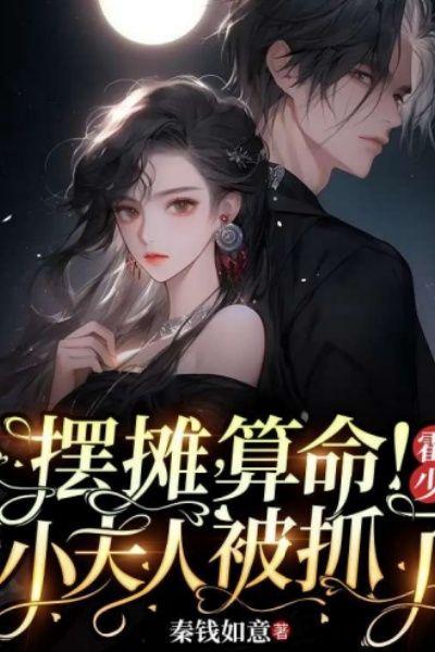 小夫人被抓了完整版在