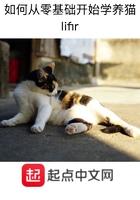 养猫的新手教程