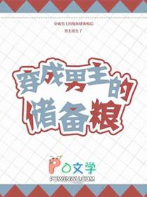 穿 成 男 主 的 储 备 粮