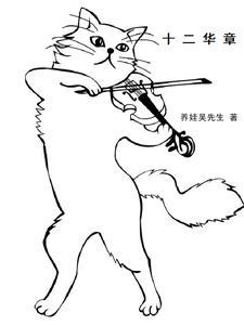 十二风华鉴作文