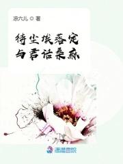 尘埃落定下一句是什么
