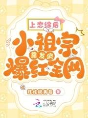 整顿内娱惹不起免费阅读