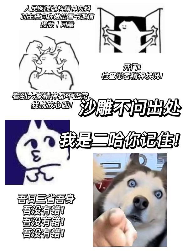我是二哈你记住!