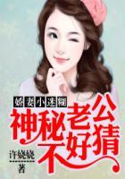 神秘老公深深宠全文免费阅读