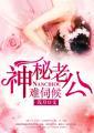 神秘老公惹不