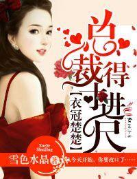 衣冠楚楚首席大人惹不起