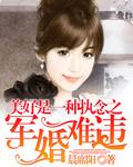 盛世军婚首长小妻