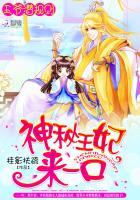 王爷王妃hnp