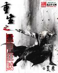 重生之重甲盗贼