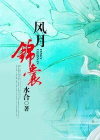 风月锦囊于朦胧