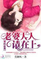 双面总裁:老婆大人请在上