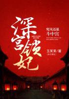 深宫锁妃:鸾凤还巢斗中宫